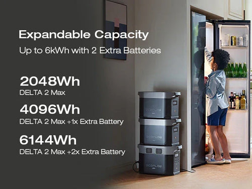 EcoFlow DELTA 2 Max + 1*160W Solar Panel