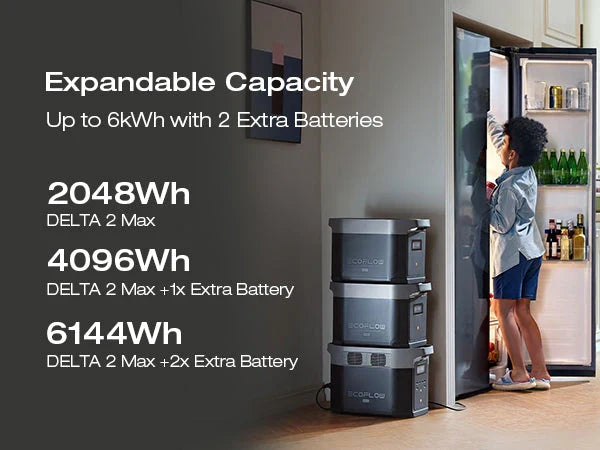 EcoFlow DELTA 2 Max + 1*220W Solar Panel