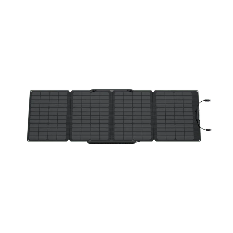 EcoFlow DELTA 1300 + 220W Solar Panel