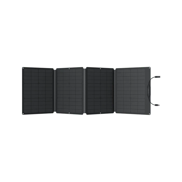 EcoFlow DELTA 1300 + 110W Solar Panel